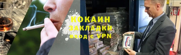 крисы Новозыбков