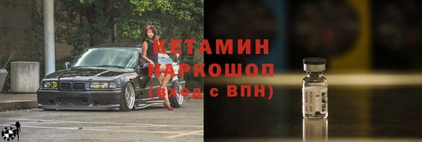 крисы Новозыбков