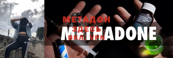 крисы Новозыбков