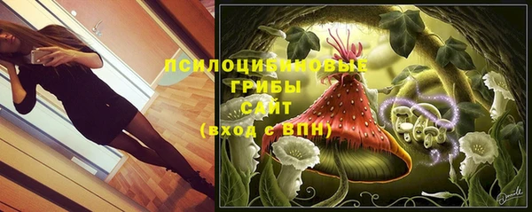 крисы Новозыбков
