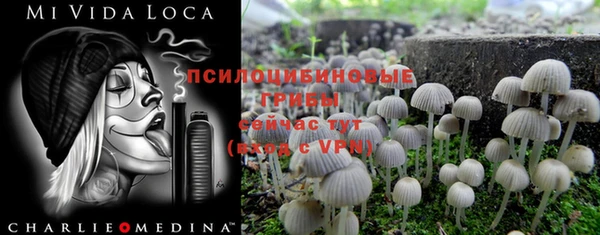 крисы Новозыбков
