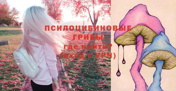 прущие крисы Новодвинск